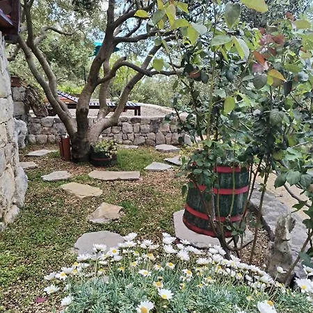 Pina In Makarska, Private Pool