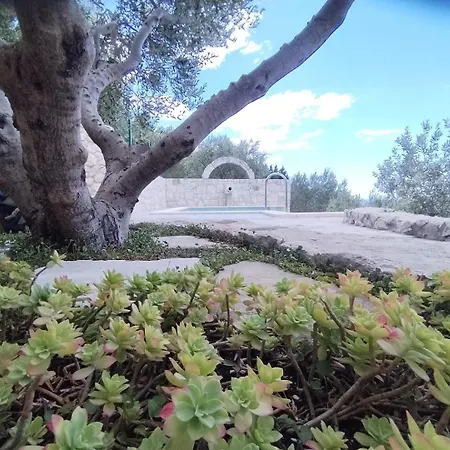 Pina In Makarska, Private Pool 빌라